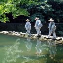 🪷혜민 스님의 좋은 대화법 이미지