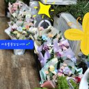 항가울로 이미지