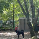 혜원네민박 이미지