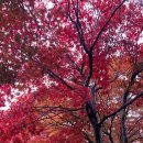 서가무주 이미지