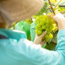 풍요로운마켓 이미지