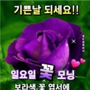 멋진하루 이미지