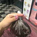 목원캐릭빌 이미지