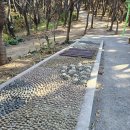 장자산체육공원 이미지