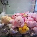 뽑기의민족 이미지