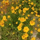 수촌2리마을회관 이미지