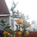 백호카센터 이미지