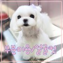 이쁘개 아름답개 이미지