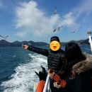 푸른소리 보청기 | 외도 보타니아 여행 몽돌해수욕장 후기 통영마리나리조트 일출 통영 바다뷰 숙소