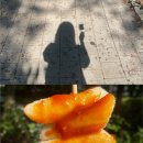 천과채 네이버블로그