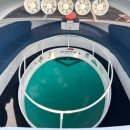 화도진로106번길 30 | 제주여행 이색체험 액티비티 추천 유리바닥보트 솔직후기