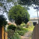 제주지인 게스트하우스 이미지