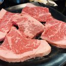 라라투어(LALATOUR) 네이버블로그