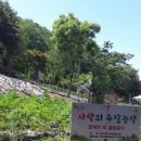 뽑기농장 이미지