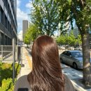 라로블헤어금천 | <라로블헤어 금천시흥점> 여름맞이 염색후기