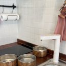 파머스펜션 | [충남 당진 여행] 견종제한 없는 당진 파머스데이 반려견 독채펜션 3박 4일 솔직후기