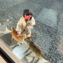 정을품은 펜션 | 전남 여수 독채 펜션 한담재 백야도 숙소