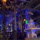 9램(9ram) | 치앙마이 램쇼바 Ram Show Bar 트랜스젠더 쇼, 공연시간 및 혼자 방문한 후기