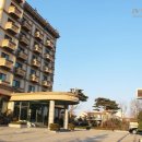 아마란스 이미지