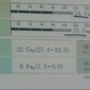 퍼펙트 P.T 이미지