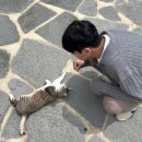 소여1-1 | [숙박후기] 안동 관광지 월영교 근처 즐기기 좋은 숙소 펜션 추천 톰소여의 모험 201호 1박 후기