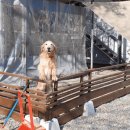 노팅힐펜션패밀리 이미지