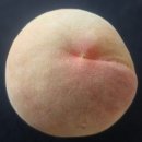 금왕농장 | 대제도 내돈내산 후기