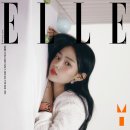 이솝포토 이미지