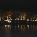 안압지농장 이미지