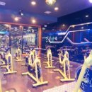 웰리스짐 이미지