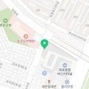 황박사목포쫀디기목포종합버스 이미지