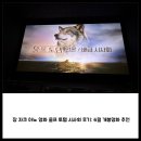 토템 | 장 자크 아노 영화 울프 토템 시사회 후기: 6월 개봉영화 추천