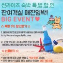 썬라이즈 | 포항 단체펜션 포항오션뷰펜션 썬라이즈풀빌라 내돈내산후기