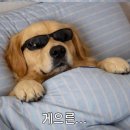 ☆743.백지영 이미지