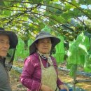 돈이농장 이미지