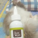 벳츠라이프 이미지