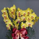 천호대로 213길 이미지