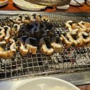 갈릴리농원수산B | 파주 장어 맛집 갈릴리농원 엄청난 규모의 장어를 맛보다 (방문 전 필수 체크 리스트)