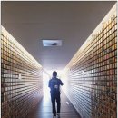 ER-10[남해고속도로]-하-127 | 순천국가정원&amp;순천만자연생태공원(습지) ​23.5.11. 목요일