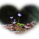 고사마을 이미지