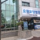 새생명 의료기 네이버블로그