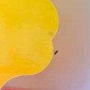 우리농약사 | 우리집에왜왔니 ~뿌리파리편~