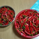 갑천농장 이미지