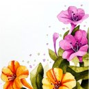 수채화 캘리그라피(주간) 이미지