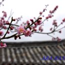남사-32 이미지
