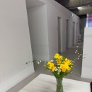 라넌클의원 이미지