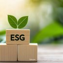 환경보드게임 강사 양성과정 이미지