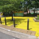 옐로카펫 이미지