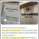용문초등학교 | 용문초 수학, 연산은 잘하는데 문장제 문제는 왜 틀릴까요?