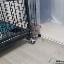 스니피드(SNIFFEED) | 스니피드 폴폴워터 후기